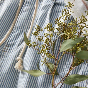 Close up of a blue and white striped pair of shorts with a sprig of greenery.